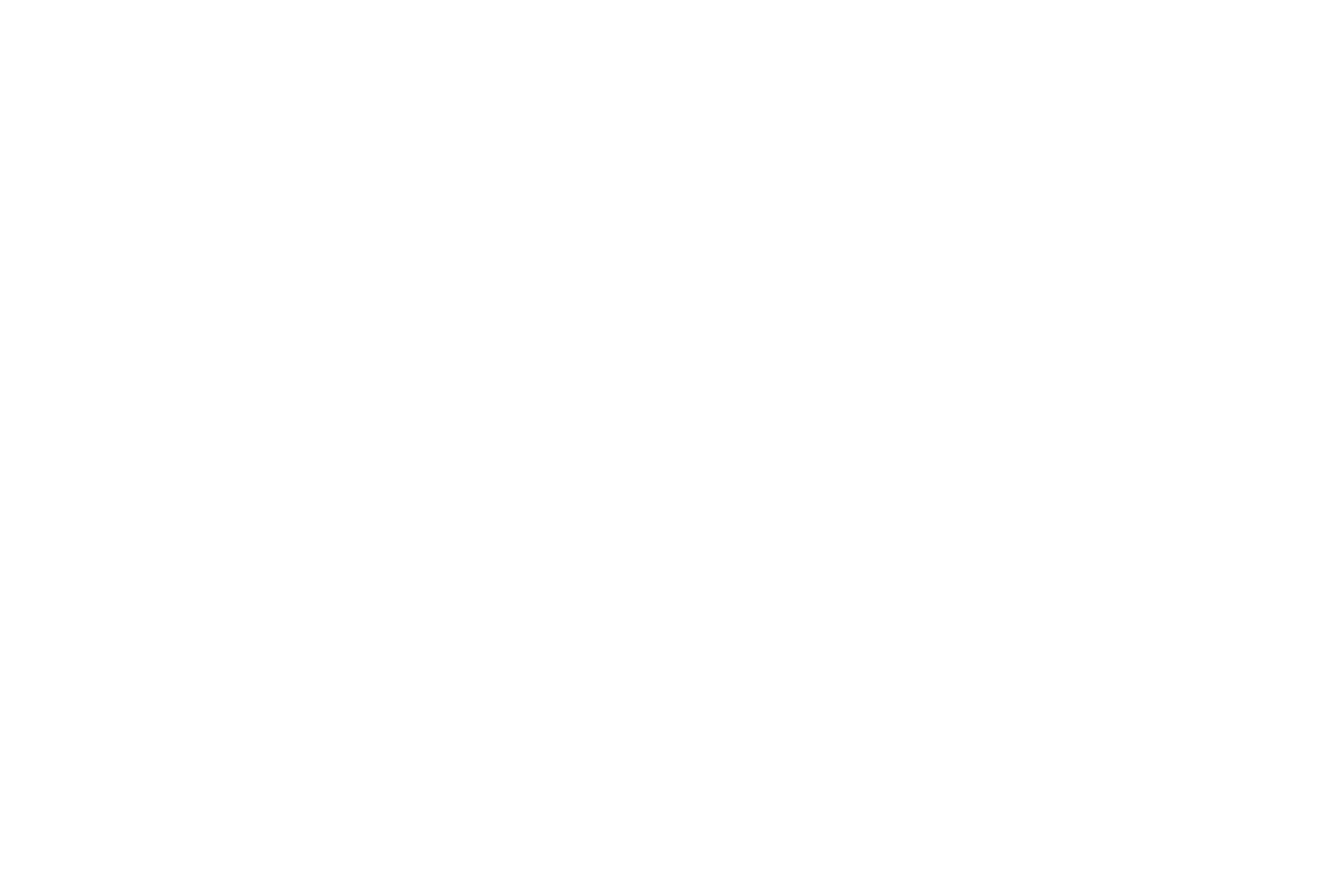 Emerce-100-badge