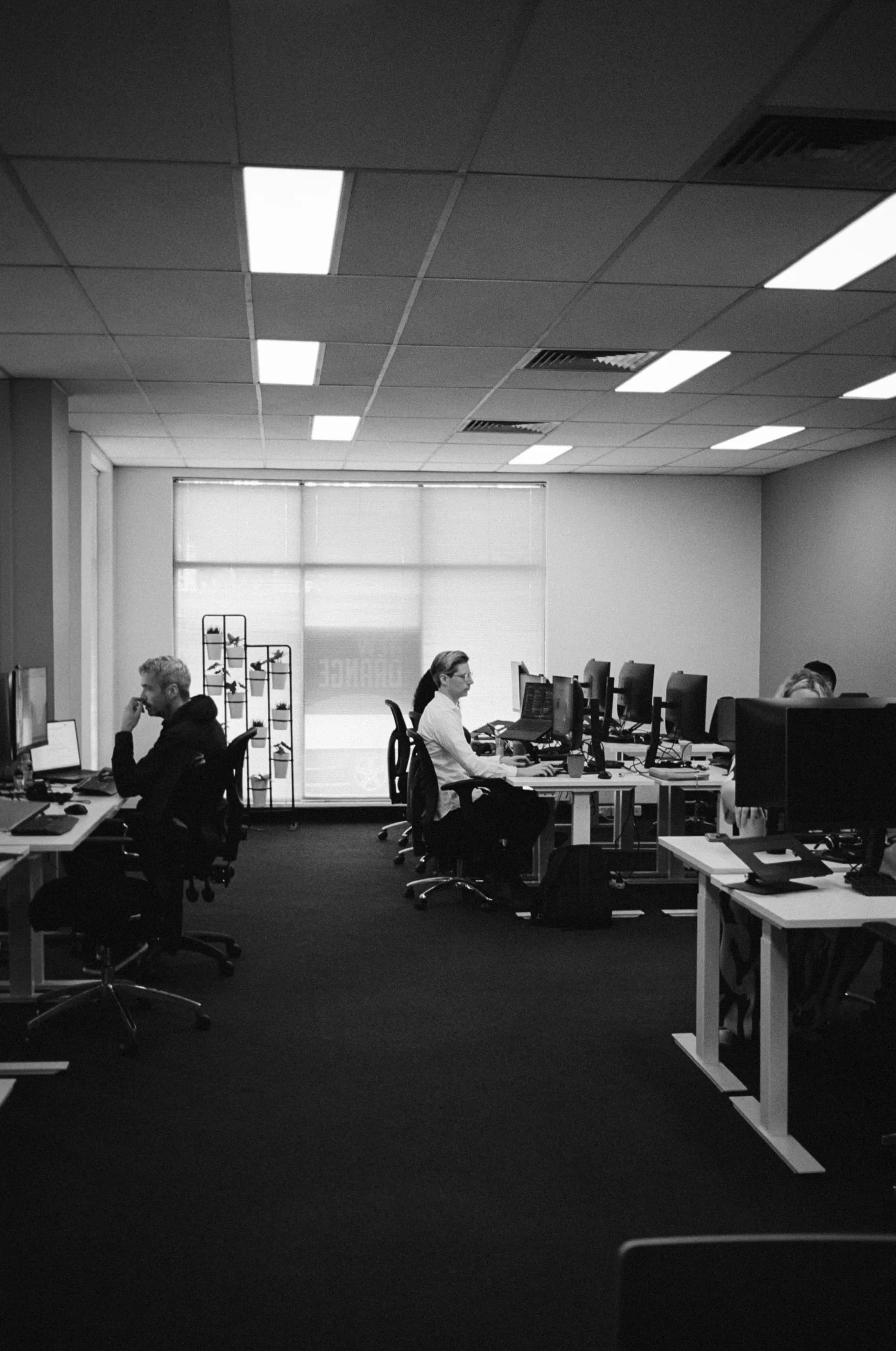 Colleagues at the office